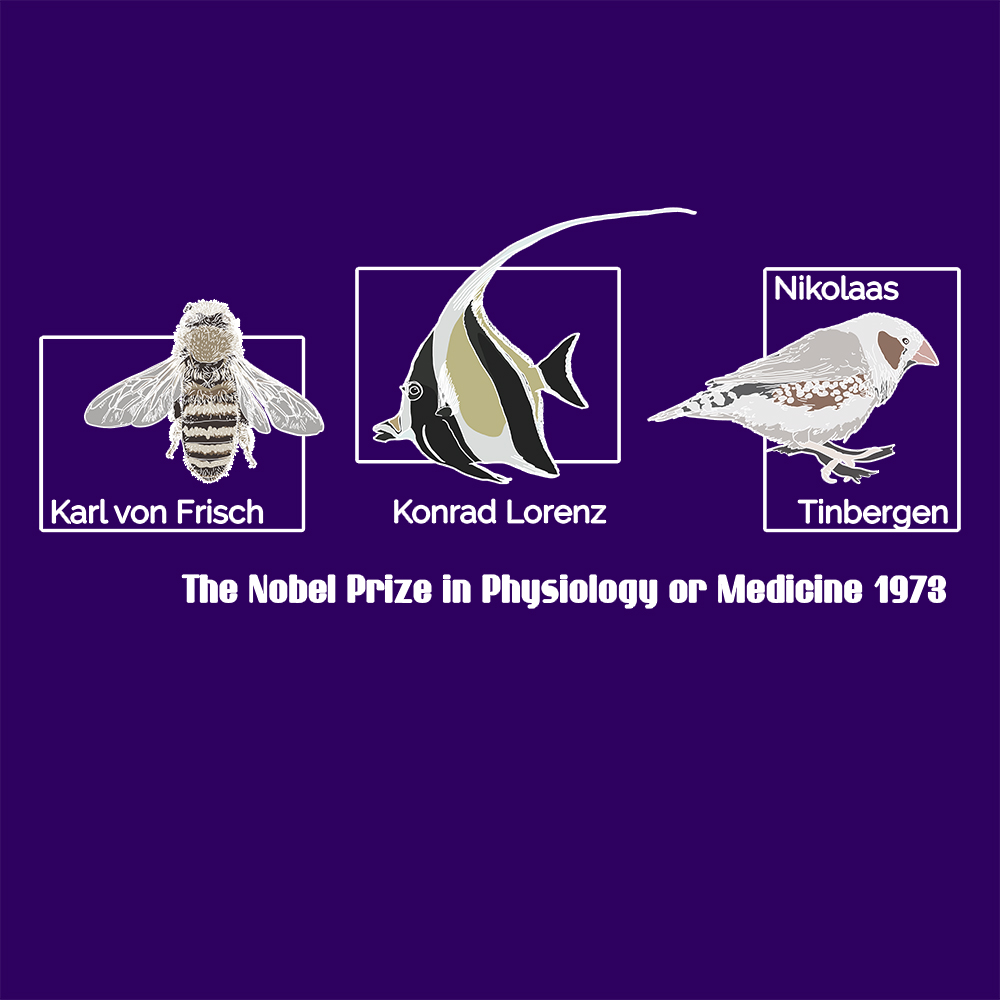 Tričko s potiskem Karl, Konrad a Niko