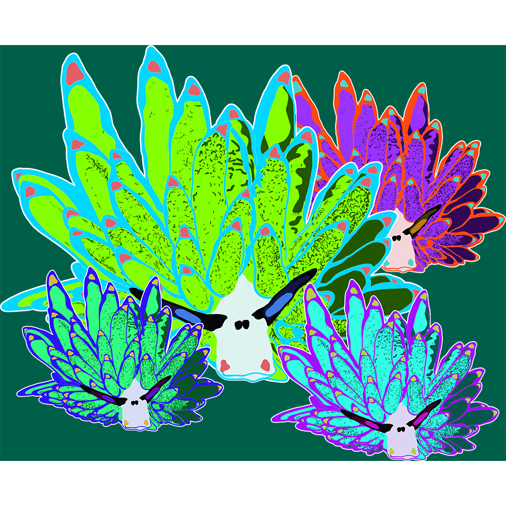 Tričko s potiskem Costasiella kuroshimae